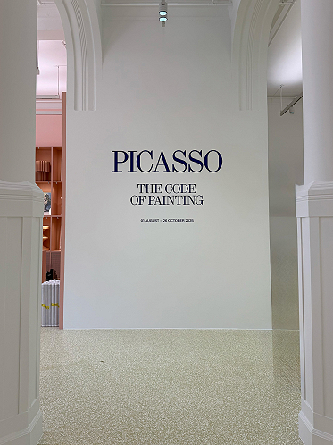 PICASSO, The code of Painting